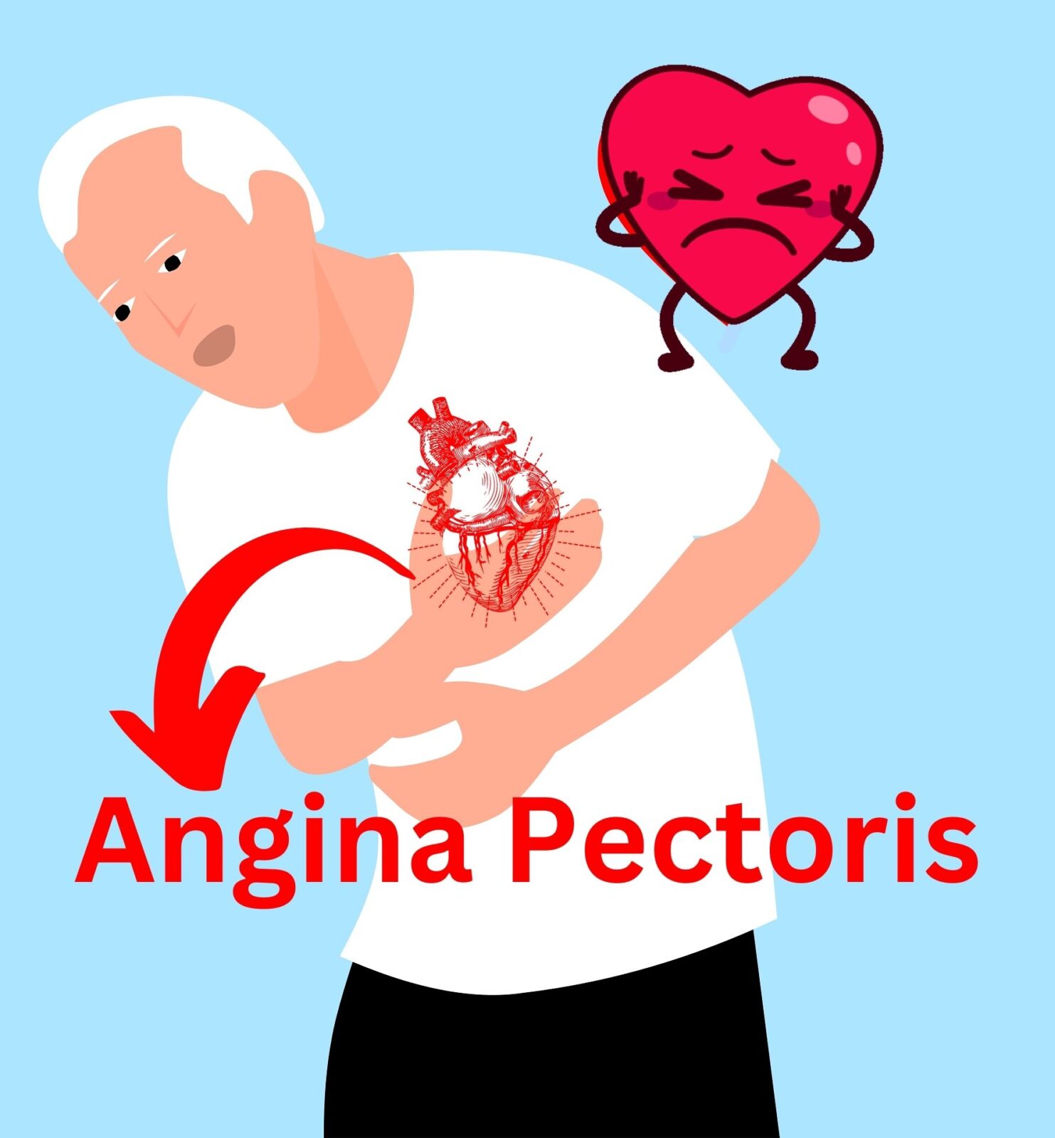 Angina Pectoris: About, Causes, Symptoms, Types, Test and Treatment.